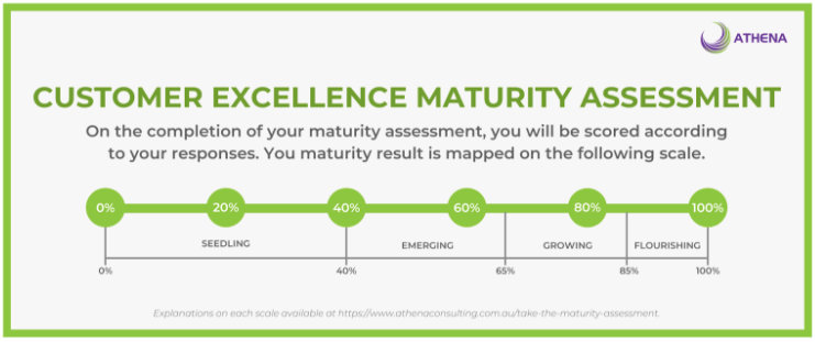 Customer Excellence Maturity Assessment.png